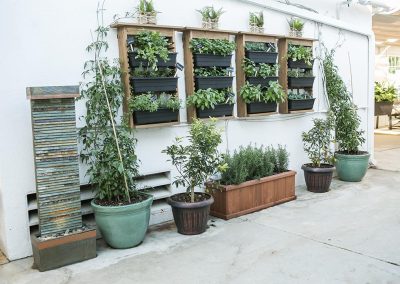 Planters with various plants